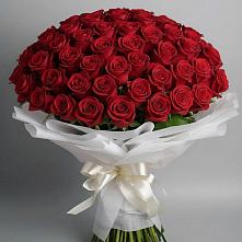 Букет 101 Красная роза Блэк Мэджик в Курчанской