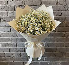 Букет цветов из:  Ромашки в Курчанской