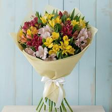 Букет цветов из:  Альстромерии #REPLACE_PRED# Курчанской