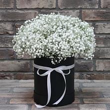 Цветочная композиция из Гипсофила в шляпной коробке в Курчанской