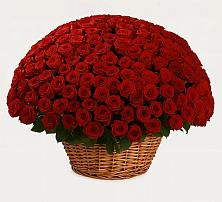 Премиум букет из: Розы в Курчанской