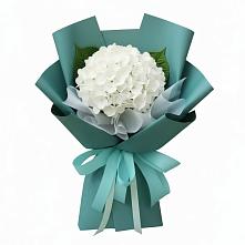 Букет цветов из:  Гортензия #REPLACE_PRED# Курчанской
